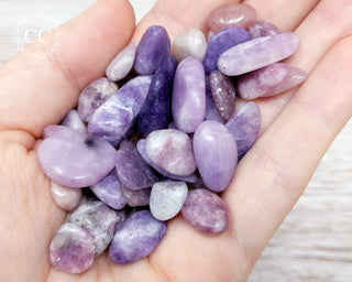 Lepidolite Crystal Chips in hand