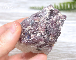 Tourmaline in Quartz #2