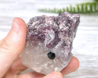 Tourmaline in Quartz #2