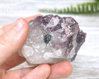 Tourmaline in Quartz #2
