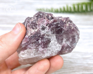 Tourmaline in Quartz #2