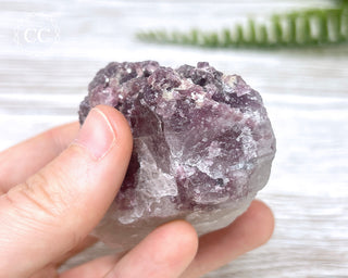 Tourmaline in Quartz #2