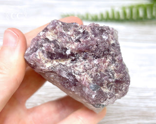 Tourmaline in Quartz #2
