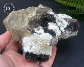 Lepidolite Specimen #4
