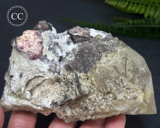 Lepidolite Specimen #4