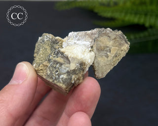 Lepidolite Specimen #1