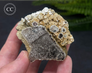Lepidolite Specimen #3
