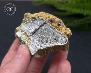 Lepidolite Specimen #3