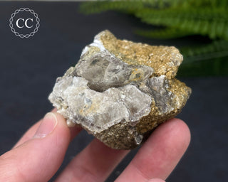 Lepidolite Specimen #3