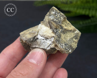 Lepidolite Specimen #1