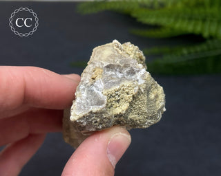 Lepidolite Specimen #1
