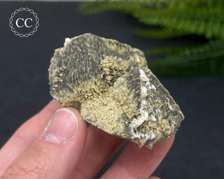 Lepidolite Specimen #1