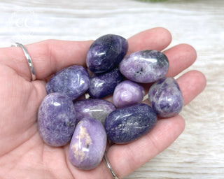 A hand holding a selection of Lepidolite tumbled crystals 