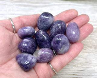 Lepidolite Tumbled Crystal