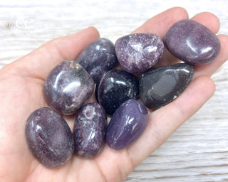 Lepidolite Tumbled Crystals in hand