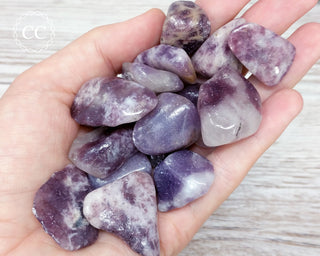 Lepidolite Tumbled Crystals in hand