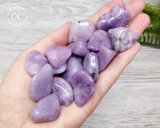Lilac Lepidolite Tumbled Crystals in hand