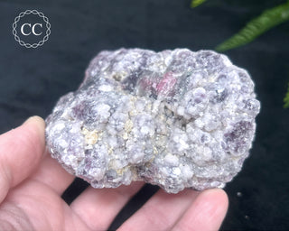 Lepidolite & Pink Tourmaline Specimen #3