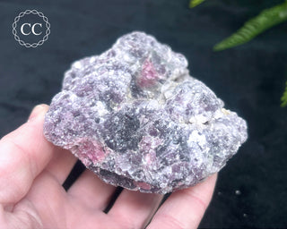 Lepidolite & Pink Tourmaline Specimen #3