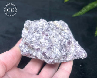 Lepidolite & Pink Tourmaline Specimen #3