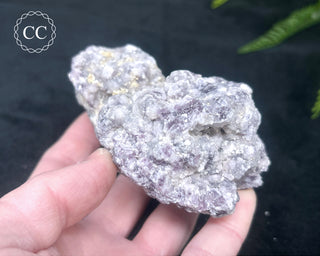 Lepidolite & Pink Tourmaline Specimen #3