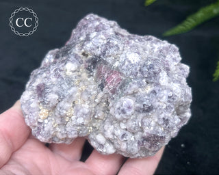 Lepidolite & Pink Tourmaline Specimen #3