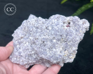Lepidolite & Pink Tourmaline Specimen #2