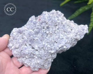 Lepidolite & Pink Tourmaline Specimen #2