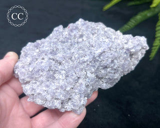 Lepidolite & Pink Tourmaline Specimen #2