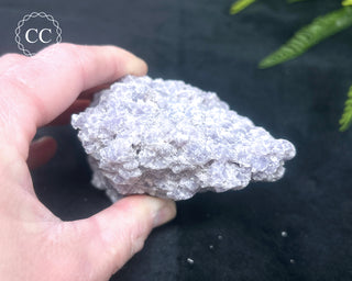 Lepidolite & Pink Tourmaline Specimen #2