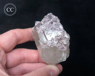 Lepidolite in Quartz #1