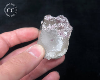 Lepidolite in Quartz #1