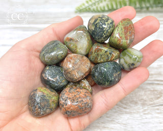 Scottish Lewisian Gneiss Tumbled Crystals in hand