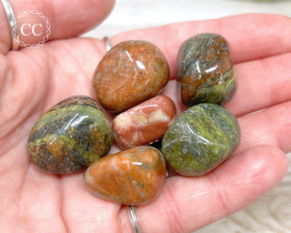 Hand holding a selection of 6 Lewisian Gneiss tumbled crystals 