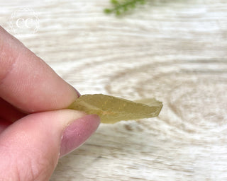 Libyan Desert Glass #12