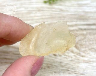 Libyan Desert Glass #14