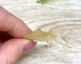Libyan Desert Glass #14