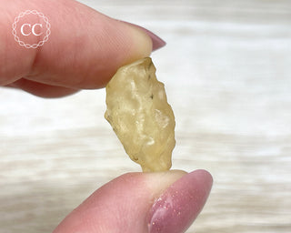 Libyan Desert Glass #13