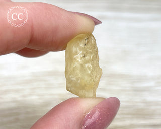 Libyan Desert Glass #13