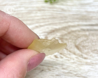 Libyan Desert Glass #16