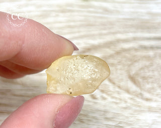 Libyan Desert Glass #18