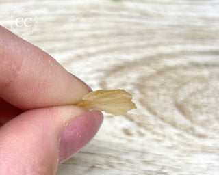 Libyan Desert Glass #19