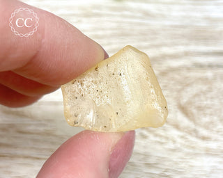 Libyan Desert Glass #23