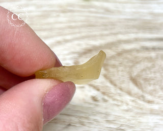 Libyan Desert Glass #23