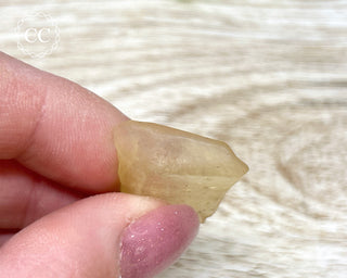 Libyan Desert Glass #23