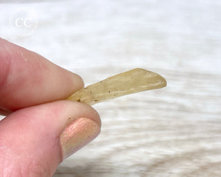 Libyan Desert Glass #3