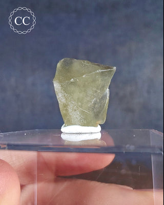 Libyan Desert Glass #7