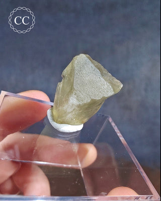 Libyan Desert Glass #7