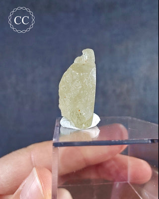 Libyan Desert Glass #9