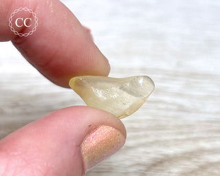 Libyan Desert Glass #6